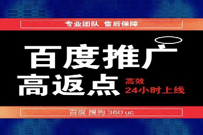 探索百度广告竞价的奥秘：某行业领先企业的投放经验